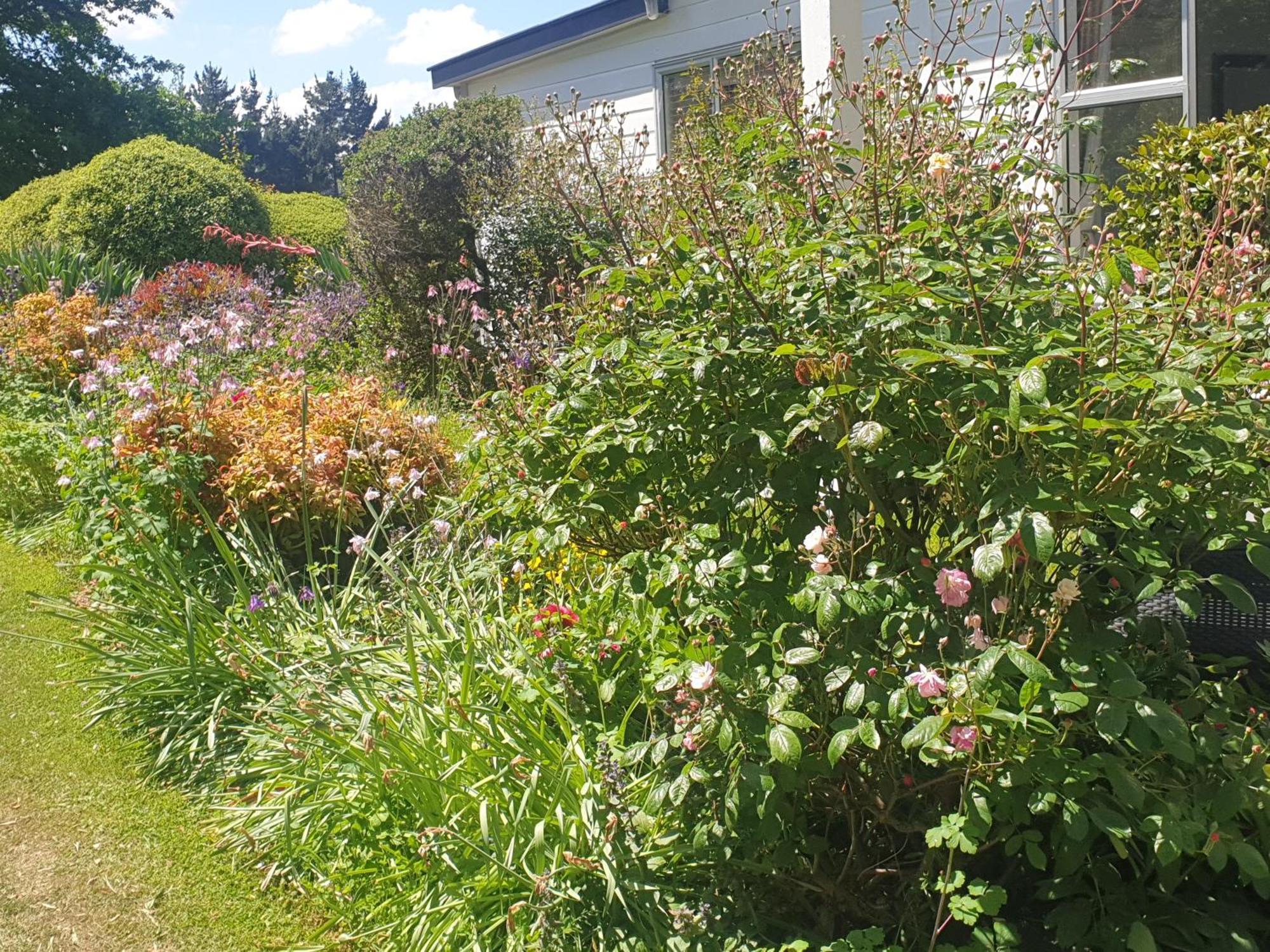 Windhaven Bed & Breakfast Duntroon Exterior photo